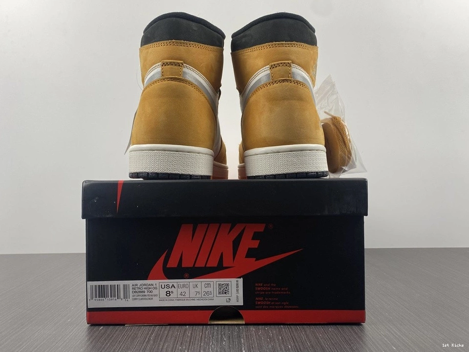 Curry DB2889-700 Jordan 1 Light High Element Gore-Tex 0328